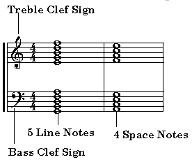 there are 5 lines and 4 spaces within the treble and bass clef staves